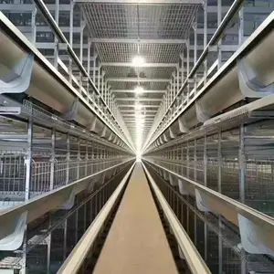 厂家直销H型大层叠鸡笼