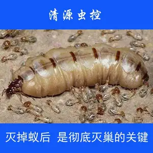 ������Դ��ظ��ߴ�ң����ϵ�ϰ�ԡ�Σ����Ԥ������***ҩ������ɢ��