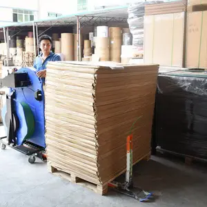 PP������ PET������ PP�Զ������� TP-800�Զ����̴�����2021