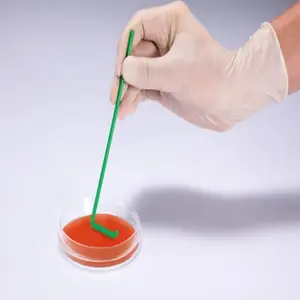 �������� ʵ����ϸ������ ������׼ȷ��