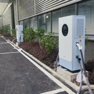 ��ţ˫ǹ60KW�����վ��Ӫ�·���