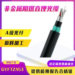 非金属重铠阻燃纤8/12/16/48/96芯GYFTZA53-24B1耐高温直地埋光缆