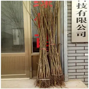 ����ԭ����۸� ����ʵ�������� 3����ռ�غ���