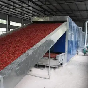 大型辣椒烘干设备 蔬菜多层网带烘干流水线 大枣隧道式干燥机