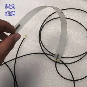 光纤光栅稳重计(应变计)
