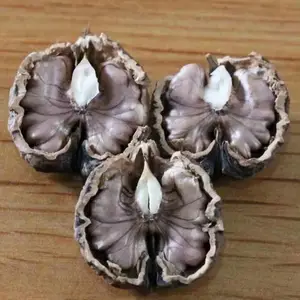 ��ɽ�㳣��������Ƥ���׺���1000����ԭ���ع�Ӧ