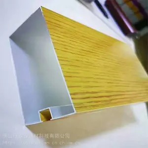 �㶫ľ��ɫ����ͨ��������-ŷ�ٽ���