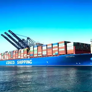 中山到荷兰 国际海运费用 真诚推荐 广州航承国际物流供应