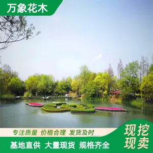 承接各种水生植物河道绿化沉水植物生态浮岛景观绿化工程