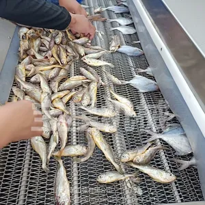 宝尔特黄花鱼速冻机视频 直销小黄花连续速冻设备 省时省力