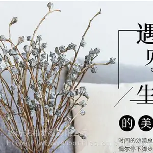 【流光四溢】北欧简约创意玻璃花瓶黑色烫金字母小清新药剂师玻璃水培绿萝富贵竹鲜花干花插花瓶客厅摆件