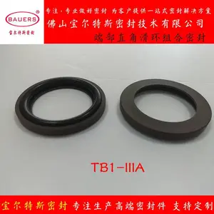 轴用端部直角滑环式组合密封TB1-IIIA车氏密封