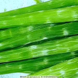 惠州惠环蔬菜批发市场/惠州惠环蔬菜配送/惠环蔬菜配送APP