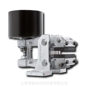 Ringspann DV 030 FPM-050L-12 �ƶ���