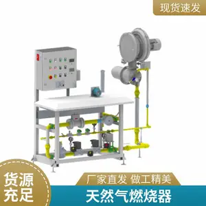 岱鼎品牌 低氮节能焦炉煤气燃烧器 回转窑烧嘴 全自动控温尾气燃烧器