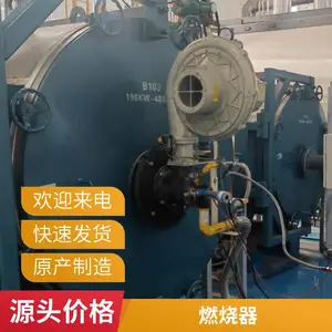 岱鼎燃烧 回转窑管式加热炉生物质气燃烧器天然气裂解气烧嘴厂家