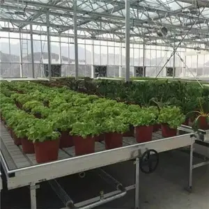 潮汐自动苗床-大棚潮汐式苗床-复工后苗床厂家