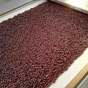 红豆薏米粉低温烘焙设备,五谷杂粮微波烘焙设备