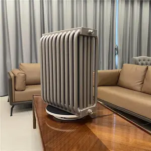 �ʲ����ٻ�ѧ���³�����Ӻ�����ʽ ��������ɢ��Ƭ ZC-VI-1000