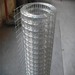 �纸������ �����纸�� ��п�紲��