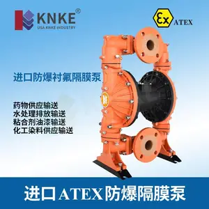 进口防爆衬氟隔膜泵 耐强酸碱腐蚀 美国KNKE科恩科品牌