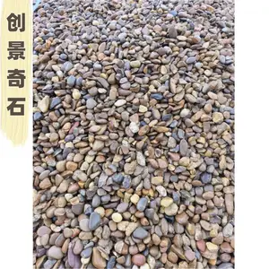 广东珠海鹅卵石变压器滤层 珠海鹅卵石建筑装饰 珠海鹅卵石过滤污水