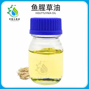 供应鱼腥草油 鱼腥草精油 植物提取精油1KG起订现货