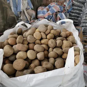 诺诺0-30毫米园林铺路天然鹅卵石供应商