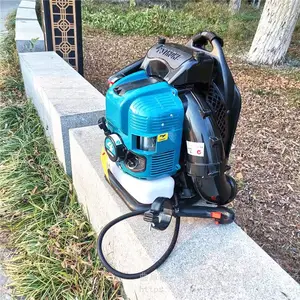 ԰�ִ���������ʽ��ѩ��·�汣�വ����·�������Ҷ�����