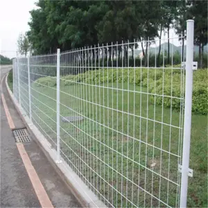 ���� ���� �������ֻ� �����߲���ǽΧ�� Բ�׶�������Ƭ ������