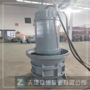 灌溉排涝用大流量潜水泵 潜水轴流泵选型 雪橇式轴流泵流量