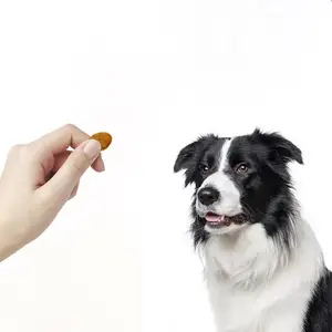 膨化不腻营养狗粮机械低盐全价犬粮膨化设备企业销售