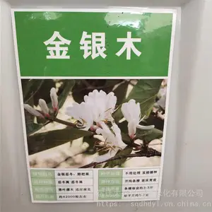 ���� �����²�ժ ����ľ���� ��С�ɿ�� �ṩ��ֲ����