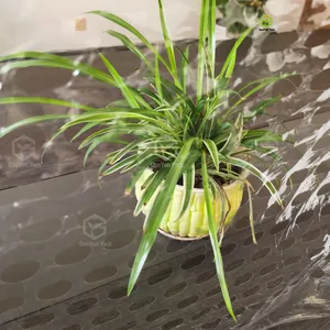 固永gooyon呼吸膜通风透气仓库缠绕打孔膜散热防水凝