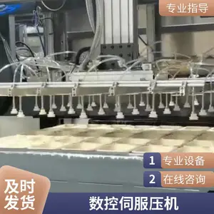 数控伺服压机 伺服压力机 智能控制 配套纸浆模塑生产线