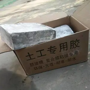 �������ϳ���ֱ�� ɭ̩���� ����Ĥר��KS���۽���