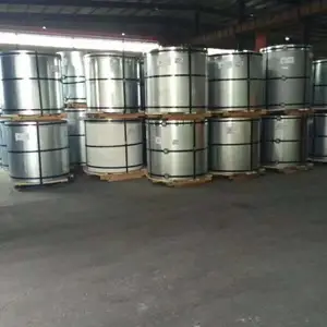 ������ ������� SPTE ���� ���� ��Ĥ