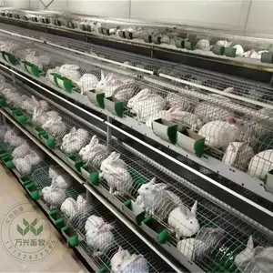 三层立体种兔笼 兔笼种兔笼 双层欧式兔笼