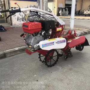 �������ϵ� �ַ�С�Ϳ�����¢�� ����ʽ����������������