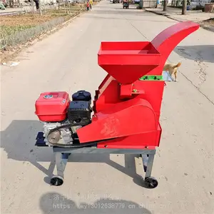 �๦��ա�ݻ� ���Ͷ���ա�ݻ� 3.8��ա��һ���