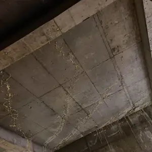 广州黄埔开发区防水补漏,外墙漏水补漏,天面漏水补漏,卫生间漏水补漏,车间漏水补漏,阳台漏水补漏