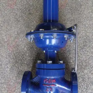 �Ϻ������¾���������ZZC��V������ʽ�΢�����ڷ�DN50 65 80 100