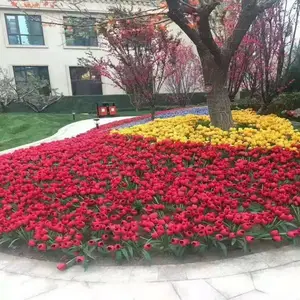װ���÷��滨���� ���Ǹ߷�����ֲ�� Ծ�ܷ���ֲ��