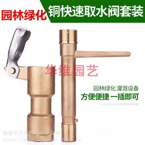 6分黄铜快速取水阀取水杆绿化取水器取水栓6分取水杆DN201寸DN25