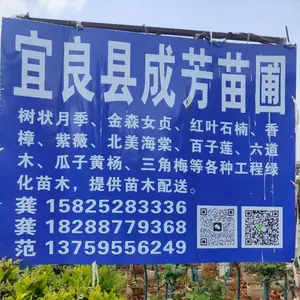 宜良县成芳苗圃