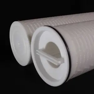 ��ˮ��PTFE 0.1΢���۵�������ˮ��о01.E70.10VG.16.S.P��Ԫ
