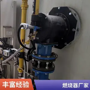 炭化炉 生物质气燃气燃烧器天然气燃烧机源头厂家岱鼎燃烧