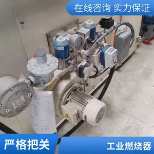 低热值燃料焦炉煤气高炉煤气燃烧器 烧嘴 岱鼎燃烧