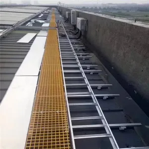 �żҽ�����©��� 25������դ�ǰ����� Ѹӥ���ϸ�դ���ǰ�