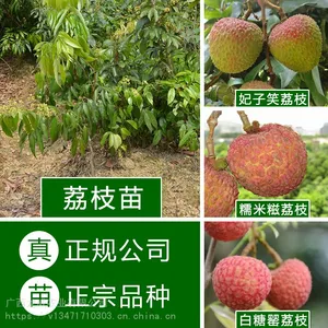 ��Ӧ������֦��_A4�޺���֦��_Ŵ������֦��_�������֦��_������/����/��ľ